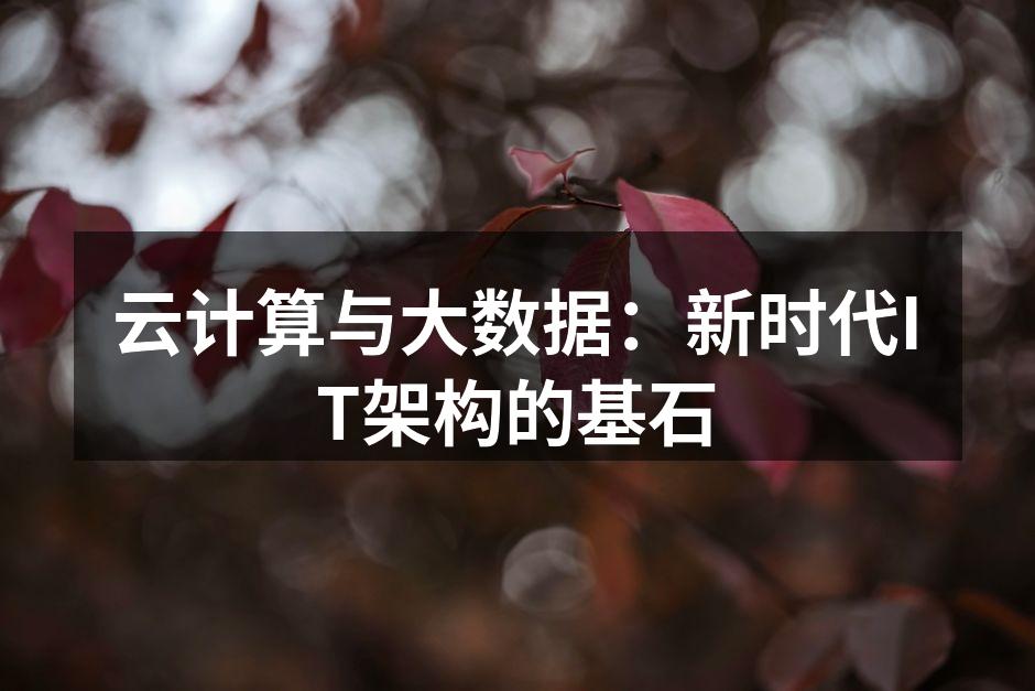 云计算与大数据：新时代IT架构的基石